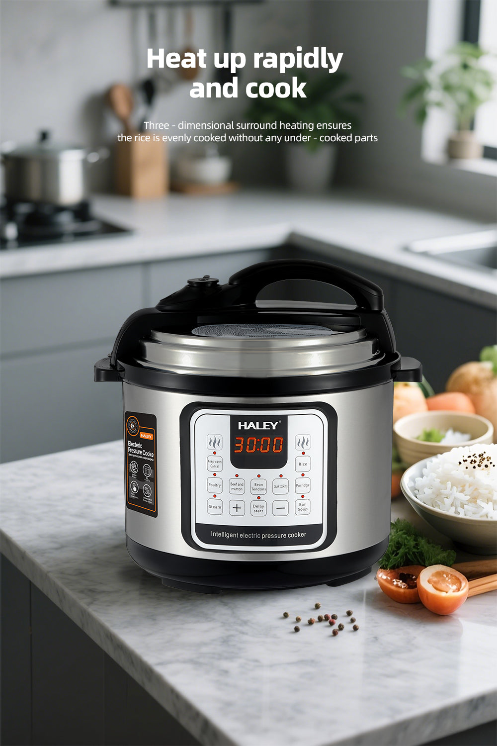 Oală Sub Presiune Electrică Multifuncțională HALEY 10 în 1, 1200W, 6L, Negru/Argintiu – Gătire Rapidă și Inteligentă